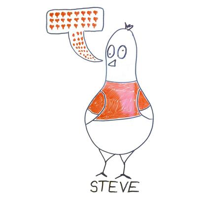 Steve The Bird