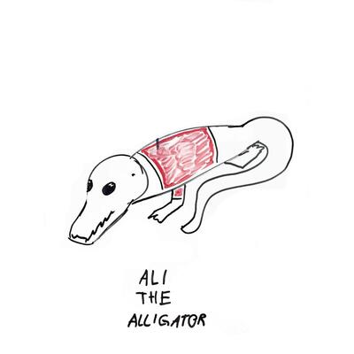 Ali The Alligator